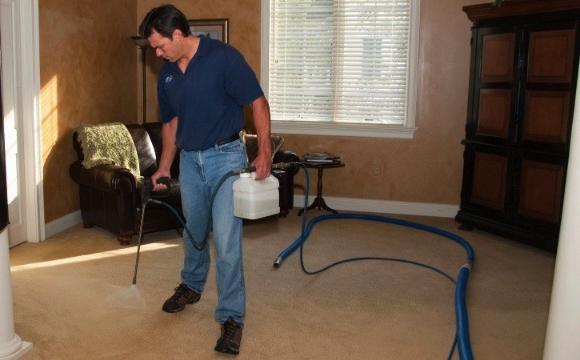 Halıyı kendi evinizde nasıl temizlerim?