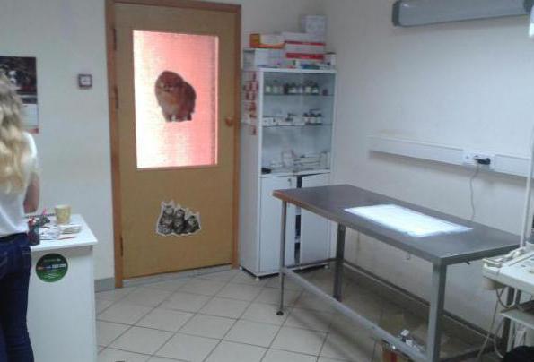 Noginsk En iyi Veteriner Klinikleri