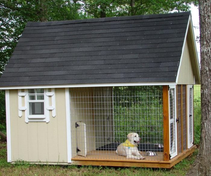 Köpek kabinleri - inşaat temeli, fotoğraf