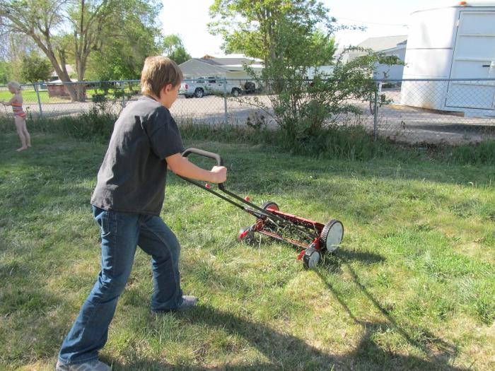 Çim biçme makineleri benzinli el - yardımcılarınız "Lawn" denilen insan yapımı bir başyapıt oluşturmada.