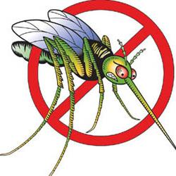 Sivrisineklerle nasıl baş edilir. Iyi tavsiye