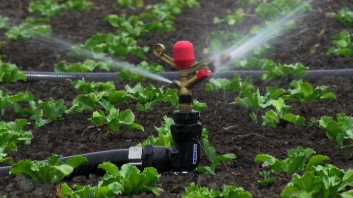 Bahçeyi sulamak için su pompası
