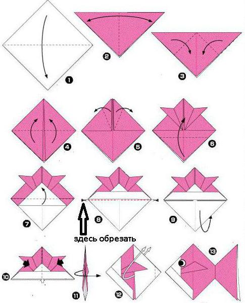 Origami balık Şema