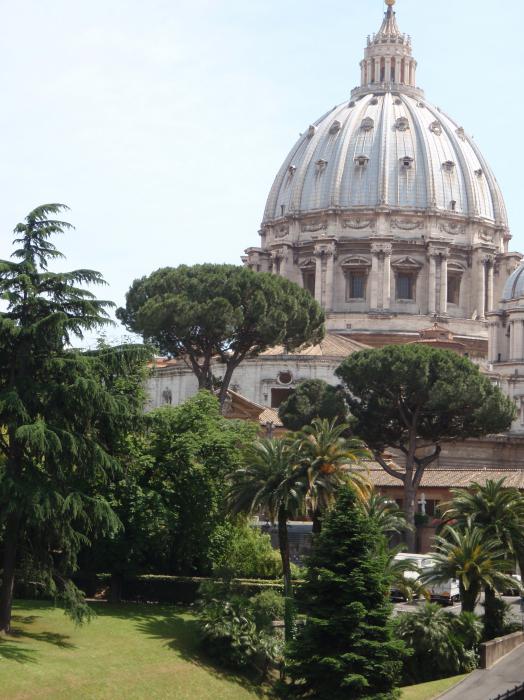 Dünyanın en büyük katedrali Aziz Petrus Katedrali'dir.