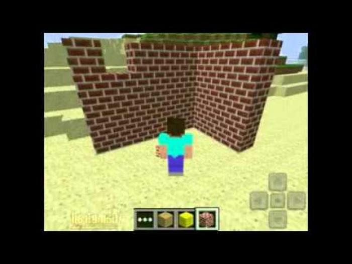 minecraft ağda nasıl oynanır?