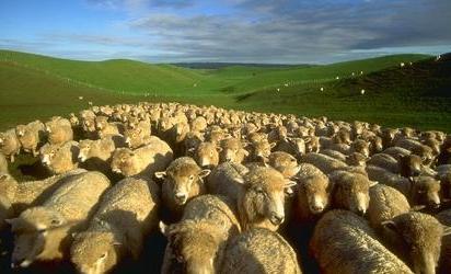 Demagoguery nedir ve politikada nasıl tanımlanır