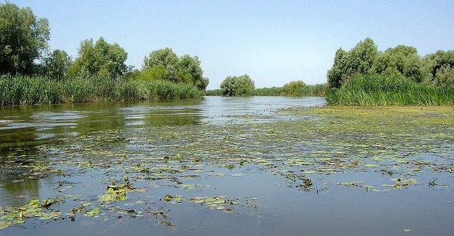 Volga Nehri'nin ağzını