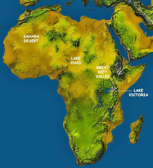 Afrika'nın coğrafi konumu. Kıtanın coğrafi konumunun özellikleri