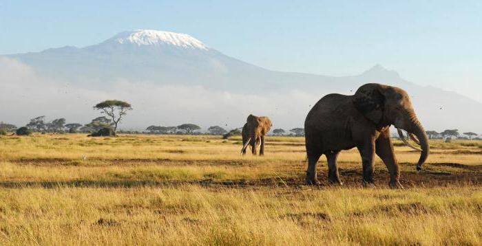 Afrika'nın coğrafi konumu ve niteliği özellikleri. Afrika kıtasının diğer kıtalara göre nasıl?