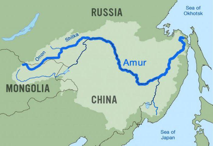 Amur Nehri: ekonomik kullanım ve açıklama. Amur Nehri - fotoğraf