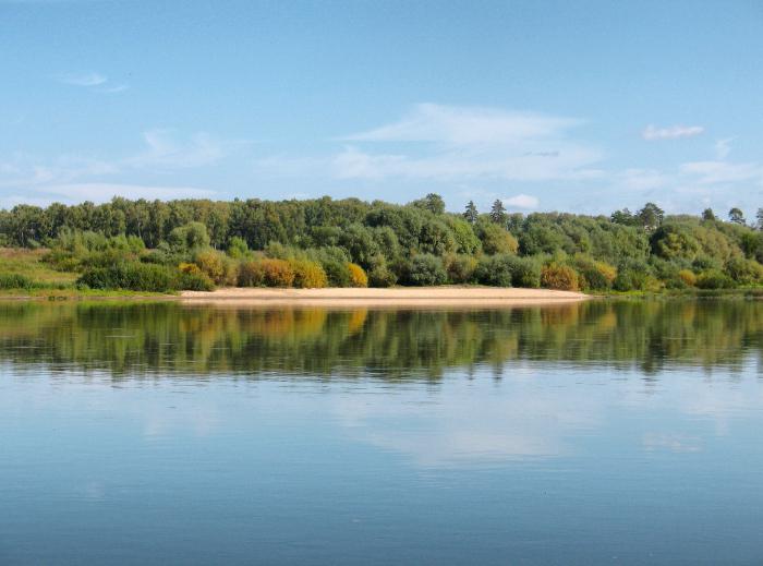 Oka Nehri. Volga Havzası'nın bitkileri ve hayvanları