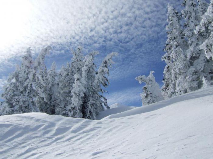 Subarctic belt: özellikleri, açıklaması, özellikleri