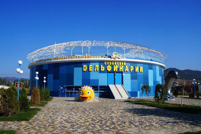 pike levrek dolphinarium