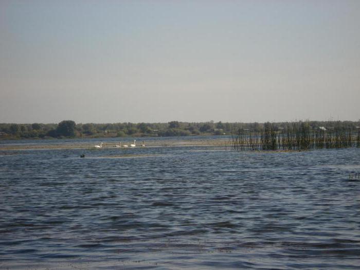 Rusya'da Petrovsky Gölü: açıklama