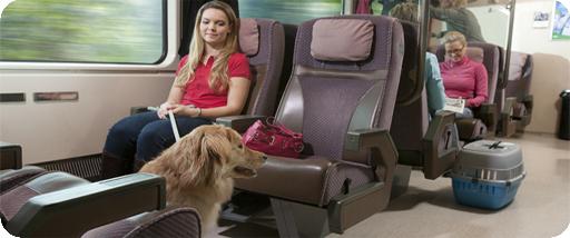 Tatilde: hayvanları trenle nakletmek için kurallar