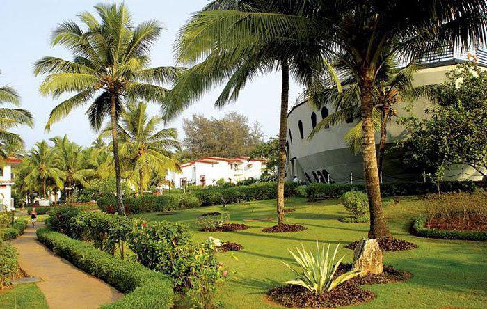 Byke Resort Goa (Hindistan, Goa): açıklama, fotoğraf, yorumlar