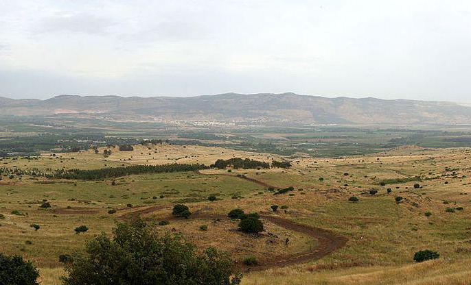 Bölgelerin özel kullanım şartları ile bölgelerin arazi yönetimi 