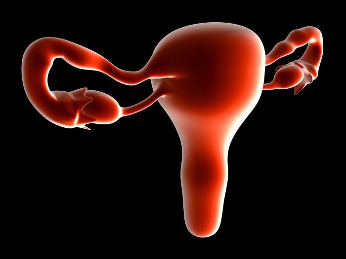 pıhtılarla şiddetli uterus kanaması